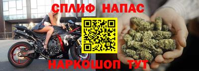 винт Сланцы