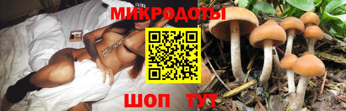 Галлюциногенные грибы ЛСД  даркнет сайт  Новый Уренгой  Вход с VPN 
